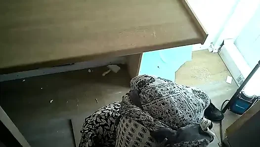 Müslüman kadın yarak emmeyi deniyor ve iyi bir iş çıkarıyor