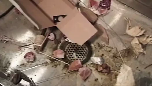 Eski okul sikme içinde the bodrum