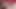 Gençler büyük seviyor - Zoey Monroe'nun anal eğitimi Mick Blue ile sert bir üçlü sekse dönüşüyor