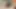 Ssbbw 31 talimatı veriyor