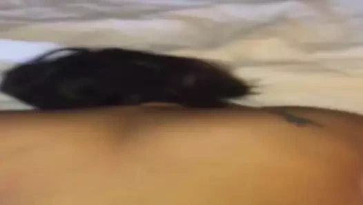 o kedi dışarı kazma