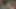 Güzel yaşlı sarışın ona tükürene kadar yaraklı bir yarağı memnun ediyor
