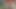 Anal Seks ile Sert Gece. Kocamın Kıçını 45 Cm Büyük Dildo İle Esnetme. Derin Ekleme