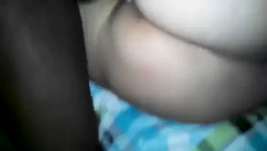 Büyük beyaz eşek yan lanet (yüksek artış)
