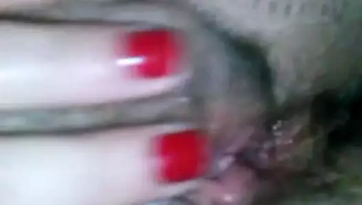 Coroa Recife Molhada