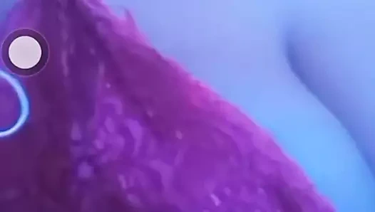 7abibty el sharmoota