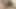Kenzie Madison götüne sakso çekiyor ve böylece ekstra derin sapık orta yaşlı seksi kadınlar ve gençler içine boşalıyor