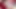 Teen Alise Secretly Anal Fucked by Neighbor While Her Boyfriend Is at Work