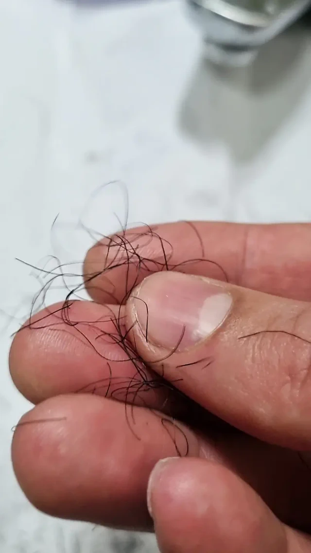 Yaramaz ve tüylü oyuncak ayının kürkünü kesiyor