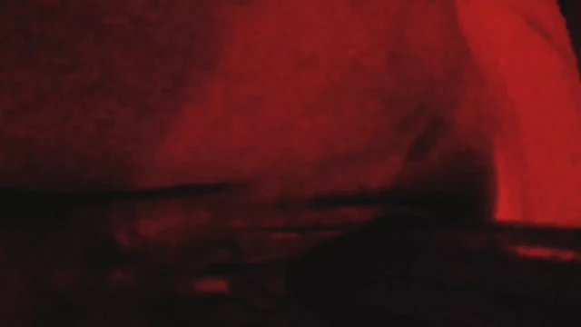 Ela e a Corgete Gigante