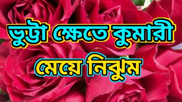 Неожиданные отношения с незнакомцем во время поедания кукурузы. Бенгальская аудио история взрослых