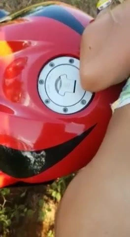 Köpek bisikleti (yaz brezilya)