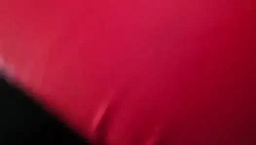(bakış açısı) Bear Boxer sana hükmediyor