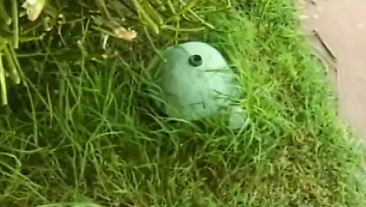 azgın bebeğim geniş bacaklarını yayılır ve alır onu ıslak amcık yaladı