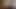 pov köpek stil için ıslak amatör