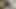 Mila ve latin hırsız gıdıklanıyor, gıdıklanıyor ve merhamet için yalvarıyor! Fullhd