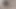 Küçük memeli ve büyük memeli bazı kızlar amcıklarını erkeklere çarpıyor