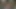 Onun deldi amını seviyor musun?