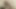 Sativa gül olduğunu bir seksi anlayışlı horoz enayi