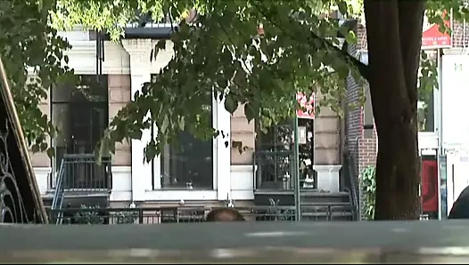 New York şehrinin gerçek pompa ve çöplükleri