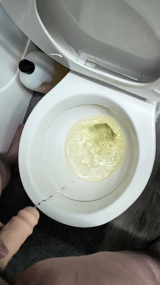 Ayakta işeme yavaşlatılmış
