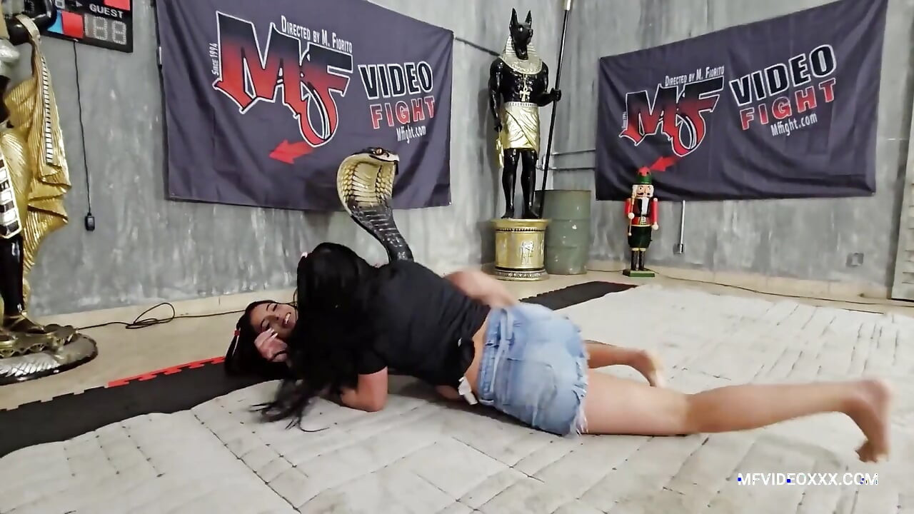 Acımasız kızların kavgası