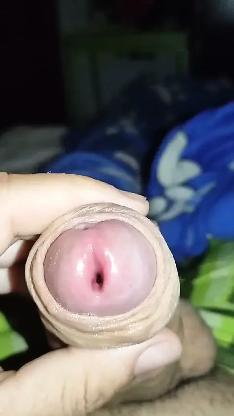 Zevk gibi