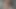 Kurzer wilder Fick mit Creampie