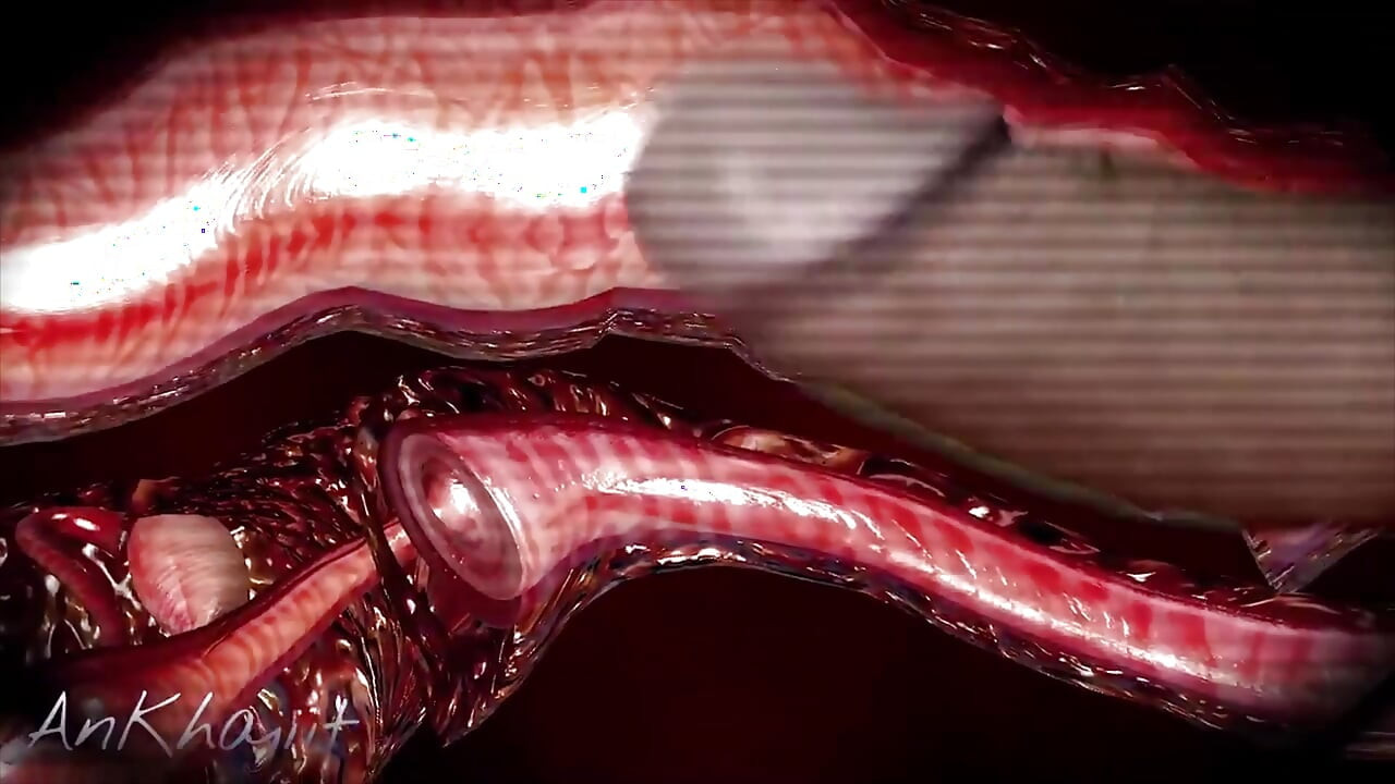 En iyi An_Khajiit derlemesi 3