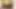 Sarışın İngiliz orta yaşlı seksi kadın Abigail Toyne amına yoğun bir egzersiz yapıyor
