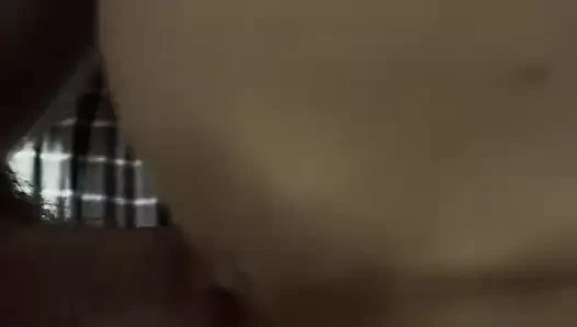 köpek yakın çekim