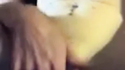 Melisa bir büyük kedi kaya