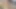 TINDER RANDEVUSUNDA ORMANDA SIKIŞIYOR. BANA 500 RUBLE IÇIN VERDI.