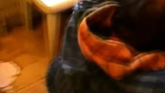 Hollandalı güzel seks yapıyor