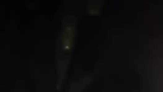 Tara kedi ile oynuyor