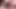 Transseksüel Violet hitachi ve yarağıyla oynuyor