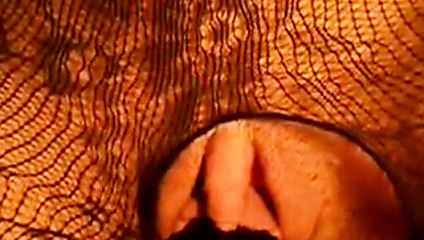 Yakın çekim kedi dev klitoris