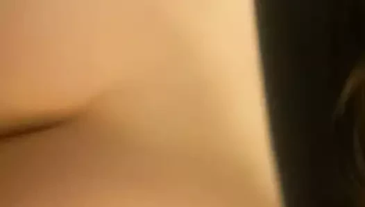 lanet içinde köpek stili ev yapımı