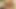 İlk porno çekimi için küçük yarağını emiyor