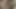 Travesti eğiliyor ve sıkı götünü yalatıyor ve deliniyor