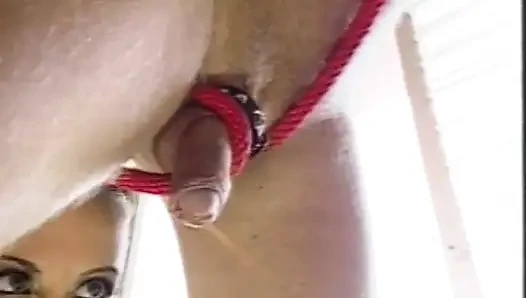 Büyük memeli sahibe domaltarak sikişmeden önce seks kölesi aygırını azdırıyor