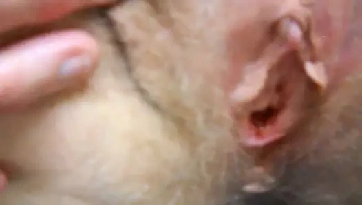 karısı sikikleri ve yayılır üzerinde masa