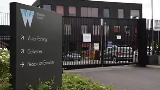 Pakistanlı Hint bengalcesi tiktok