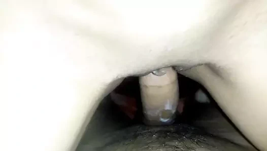 Arap karısının kedi