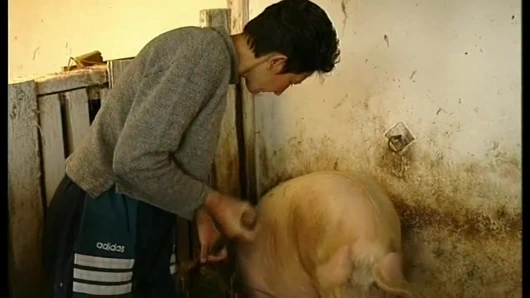 Küçük thommy yaşlı büyükanneyi çiftlikten sikiyor