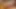 Amatör Rus iki milfs bir yapay penis