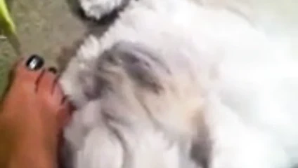 fille qui aiment se faire lecher les pieds