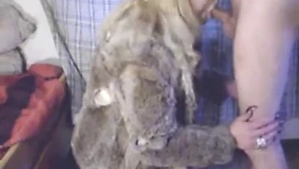 Transeksüel fahişe içinde kürk bj ve anal