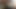 Cherie Deville ve Harlow Harrison gizli bir romantizm yaşıyor