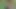 Üç seksi öğrenci kızlar sikme siyah adam